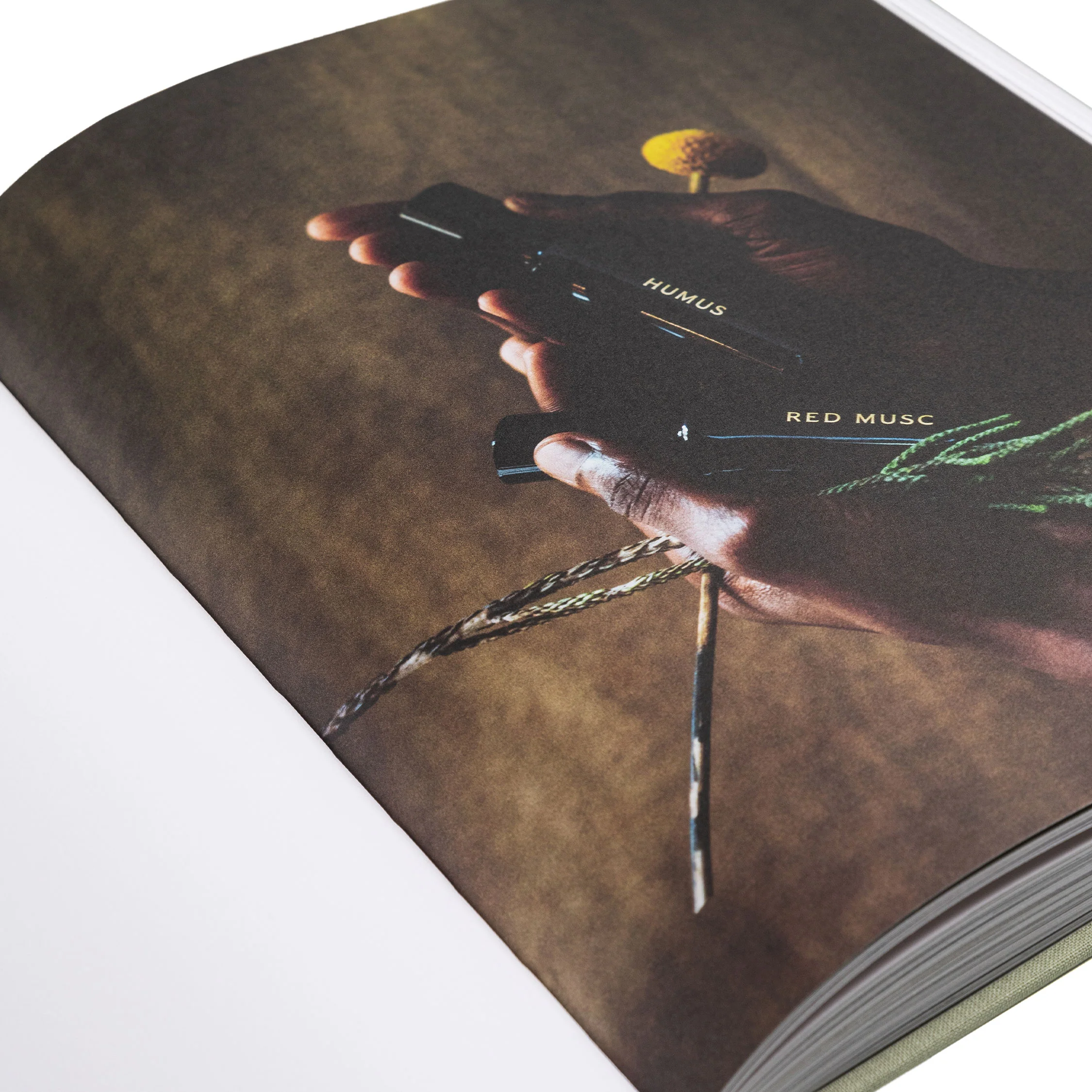 GESTALTEN Designing Brands - Image 4