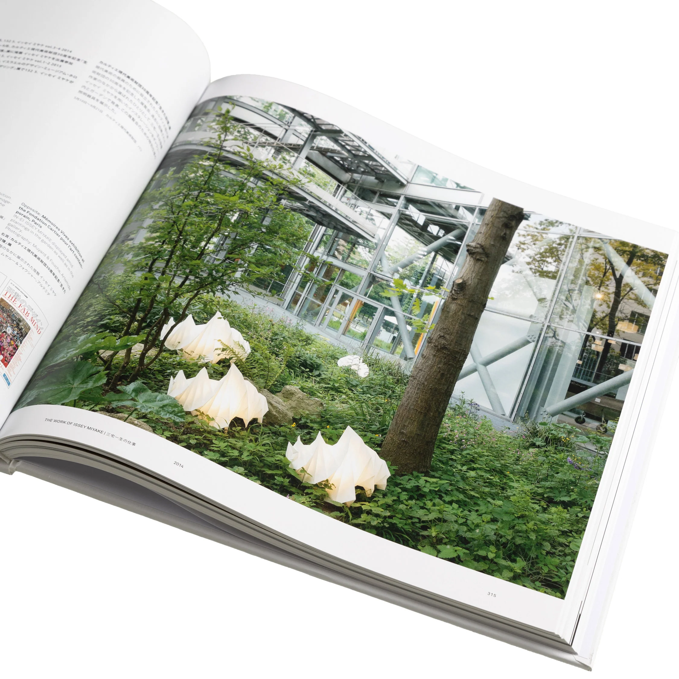 Taschen Issey Miyake 2nd Edition - Image 3