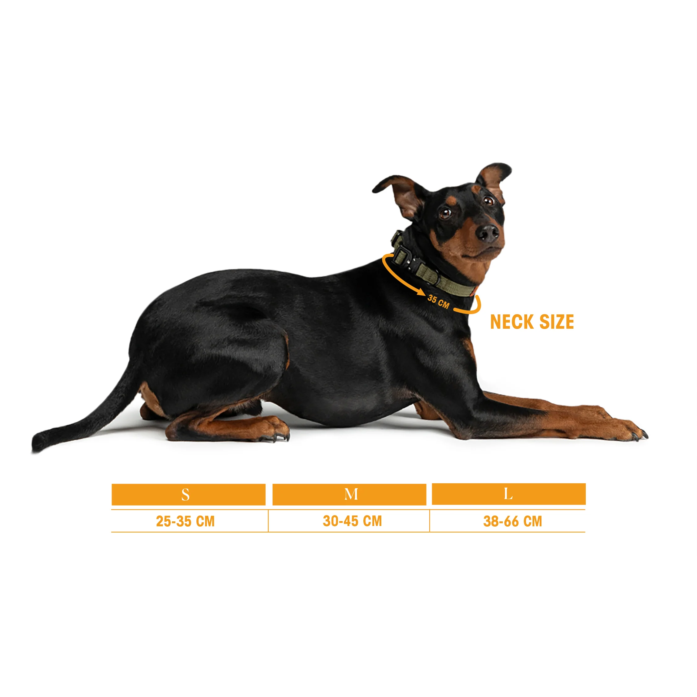 Trekk Dog Collar - Image 2