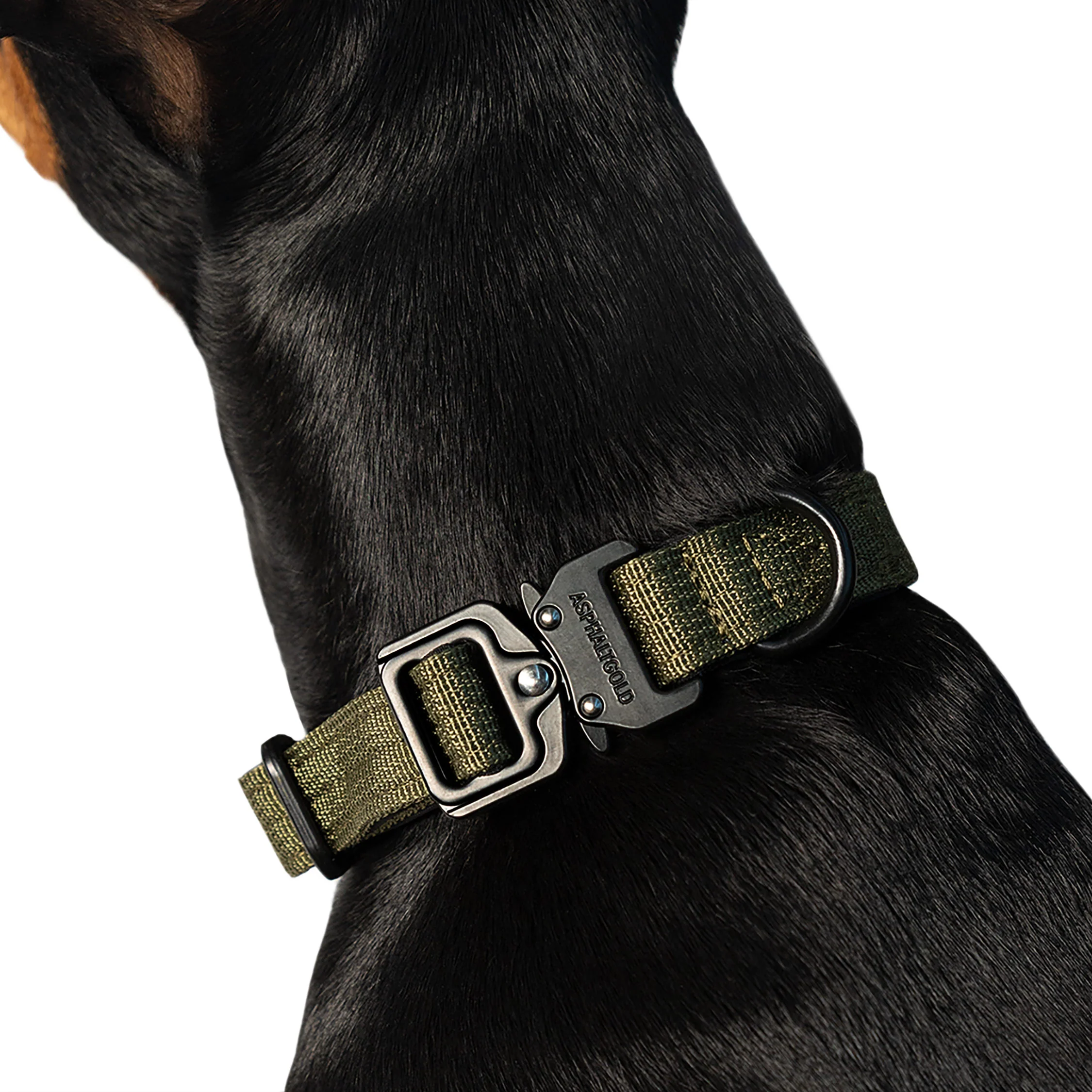 Trekk Dog Collar - Image 3
