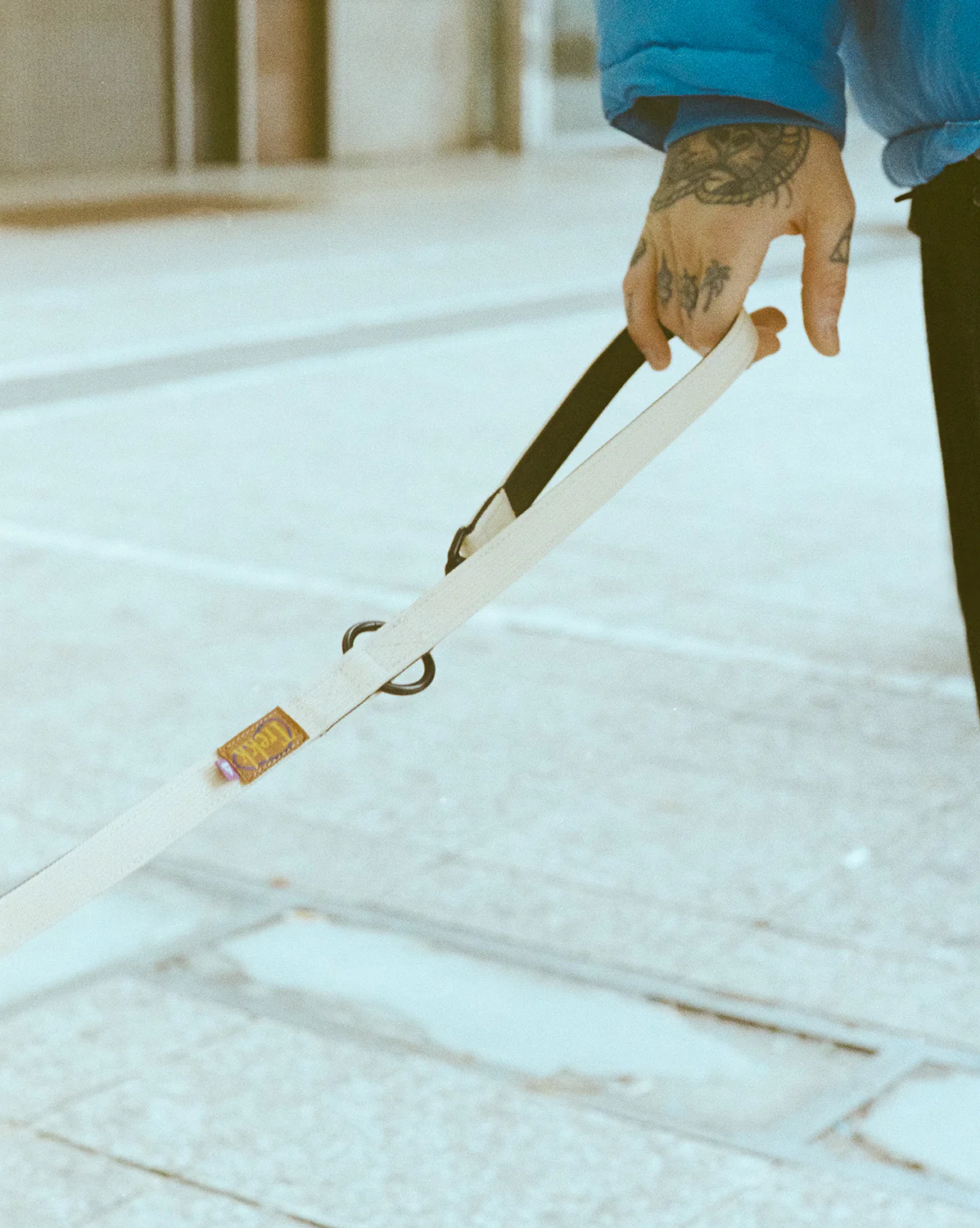 Trekk Dog Leash - Image 7